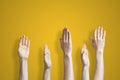 the five raised human hands isolated on the colourful background as a concept of vote and agree