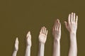 the five raised human hands isolated on the colourful background as a concept of vote and agree