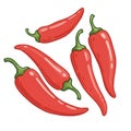Five Red Chili Peppers on White Background Royalty Free Stock Photo