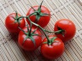 Five red ripe tomatoes on a branch close up Royalty Free Stock Photo