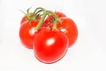 Five red ripe tomatoes on a branch on a white background Royalty Free Stock Photo