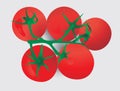 Five red tomatoes on a branch