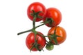 Five red tomatoes on a branch Royalty Free Stock Photo