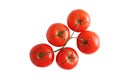 Five red tomatoes on branch. White isolate. View from above Royalty Free Stock Photo