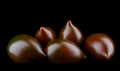 Five ripe cumato tomatoes on a black background Royalty Free Stock Photo