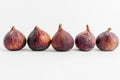 Five ripe organic figs diplayed in horizontal line on a white background, close up with soft focus