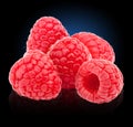 Five ripe raspberries isolated on blue to black Royalty Free Stock Photo