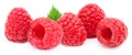 Five ripe raspberries isolated Royalty Free Stock Photo