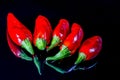Fivered chili peppers isolated on a black reflecting background Royalty Free Stock Photo