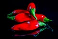 Five red chili peppers isolated on a black reflecting background Royalty Free Stock Photo