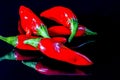 Five ripe red chili peppers isolated on a black reflecting background Royalty Free Stock Photo