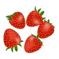 Five ripe strawberries on a white background.