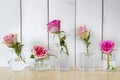 Five roses in separate glass vases