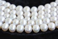 Five rows of natural pearl necklace on a black velvet Royalty Free Stock Photo