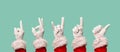 Five Santa's hands in white gloves on blank blue background.