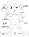 Five senses boy coloring illustration