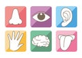 Five senses and brain image - Colorful icon set