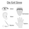 Five Senses Sensory Organs German Chart Royalty Free Stock Photo