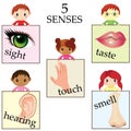 Five senses educational concept Royalty Free Stock Photo