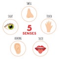 Five senses educational poster. Vector illustration. Sense organs. Royalty Free Stock Photo