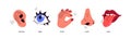 Five senses. Hearing with ear, looking with eye, smelling with nose, tasting with mouth, touching with hand. Sensory perceptions Royalty Free Stock Photo