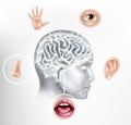 Five Senses Human Brain Head Face AI Concept