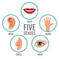 Five senses of human perception poster icons. Taste and hear