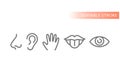 Five senses, human sensory organs icons