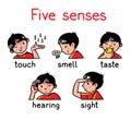 Five senses icon set Royalty Free Stock Photo