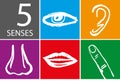 Five senses icon set - Vector Royalty Free Stock Photo