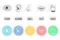 Five senses icon set. Vector isolated illustration Royalty Free Stock Photo