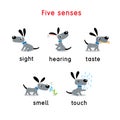 Five senses icon. Touch, taste hearing sight smell Royalty Free Stock Photo