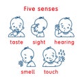 Five senses icon. Touch, taste hearing sight smell Royalty Free Stock Photo