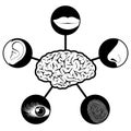 Five senses icons controlled by brain