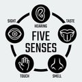 Five senses icons set