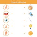 Five senses matching game for kids. Sight, touch, hearing, smell and taste Royalty Free Stock Photo