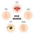 Five senses educational poster. Vector illustration. Sense organs. Royalty Free Stock Photo