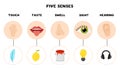 Five senses poster. Vector illustration. Sense organs. Royalty Free Stock Photo