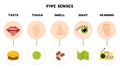 Five senses poster. Vector illustration. Sense organs poster. Royalty Free Stock Photo