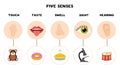 Five senses poster. Vector illustration. Sense organs poster. Royalty Free Stock Photo