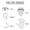 Five Senses Sensory Organs Chart Royalty Free Stock Photo