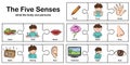 Five senses - touch, taste, hearing, sight, smell.