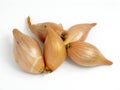 Five shallots 2