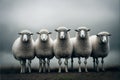 Five sheep lined up in a field on a misty day. Generative AI