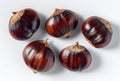 Five Shiny Brown Chestnuts Arranged in a Scattered Pattern on a White Background Royalty Free Stock Photo