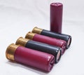 Five shot gun shells together on a white background Royalty Free Stock Photo