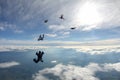 Five skydivers are in the blue sky. Royalty Free Stock Photo