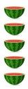 FIVE Sliced fresh watermelons fruit pieces vector sets, Fresh Watermelon organic fruits with fresh green and juicy red open