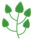 Five small leafs, icon