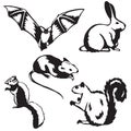 Five small mammals